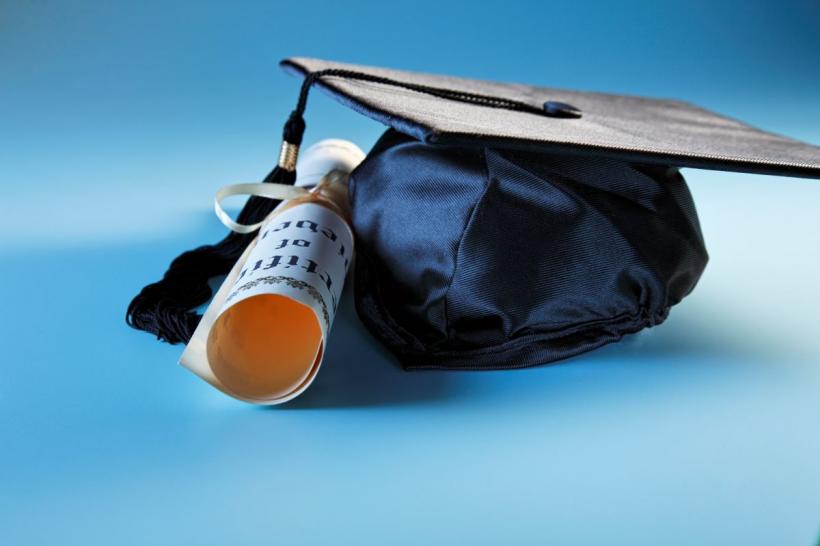 Noua Zeelandă își propune să dubleze piața internațională a educației până în 2034