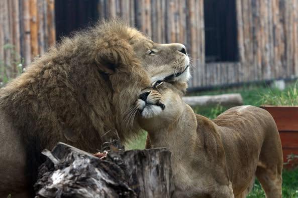 PMB: Grădina Zoologică a fost redeschisă