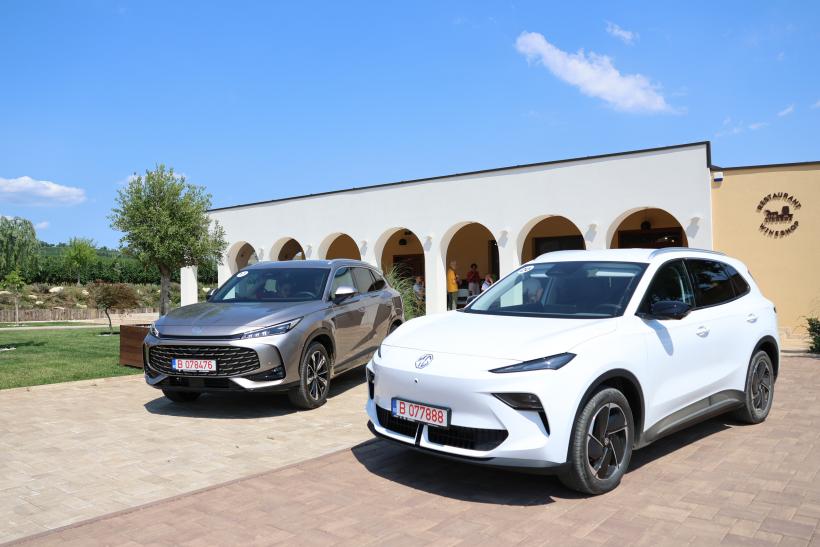 Atuurile electrificatelor MG 18964313