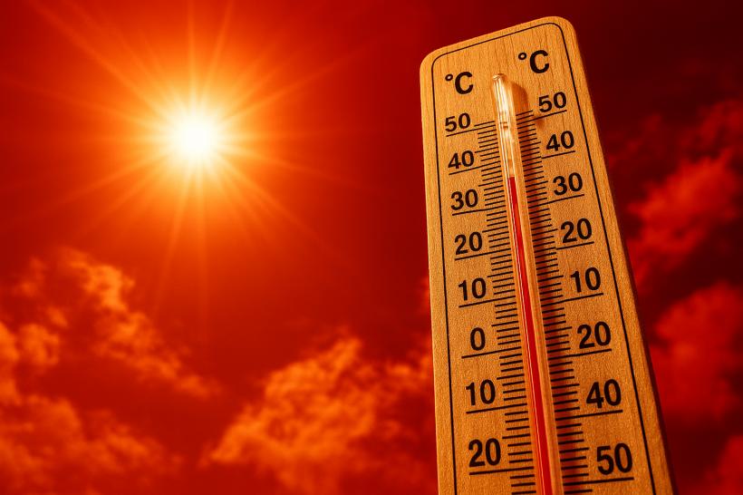 Cod ROȘU de caniculă: România trăiește cele mai fierbinți zile din această vară. Termometrele urcă până la 43 de grade 