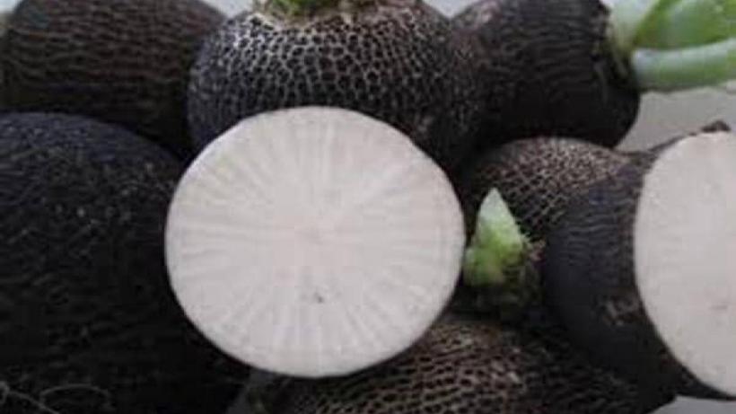 8 beneficii ale ridichiilor albe asupra organismului