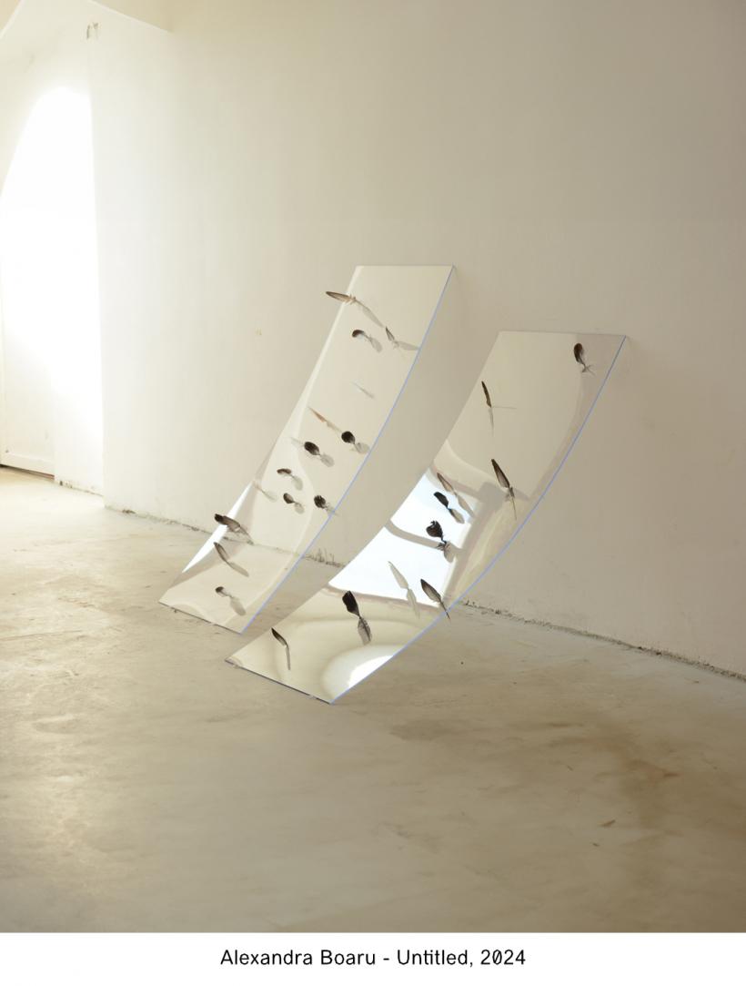 „Garden of Hooks”, Summer Show-ul realizat de Galeria Jecza în colaborare cu Galeria Himera, aduce 31 de artiști emergenți la Timișoara 18964206