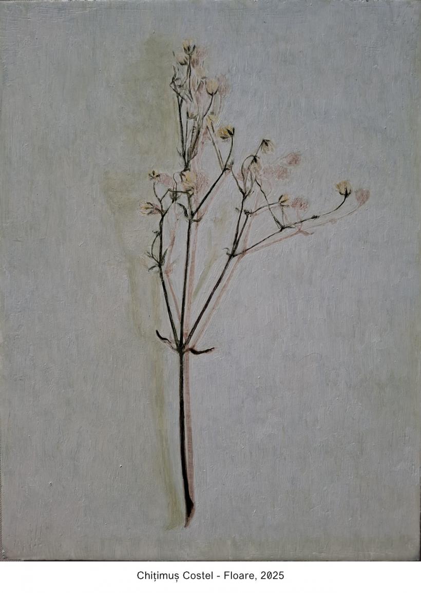 „Garden of Hooks”, Summer Show-ul realizat de Galeria Jecza în colaborare cu Galeria Himera, aduce 31 de artiști emergenți la Timișoara 18964210