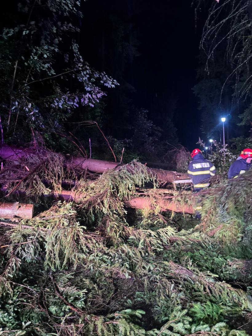 Un bărbat care participa la un concurs de alergare montană a murit după ce un copac a căzut peste el