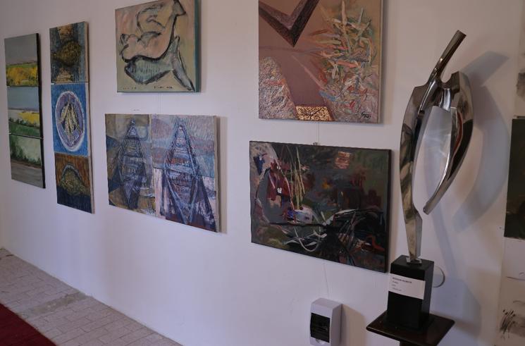 Galeria de Artă FAAD, inaugurată în Delta Dunării  18964719