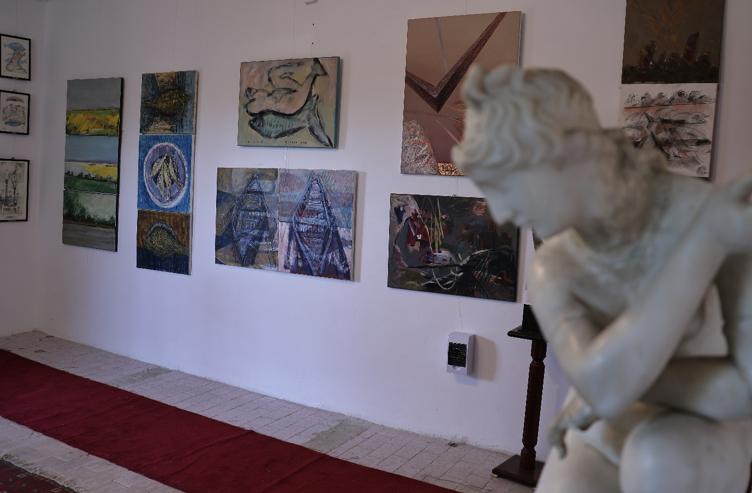 Galeria de Artă FAAD, inaugurată în Delta Dunării  18964720