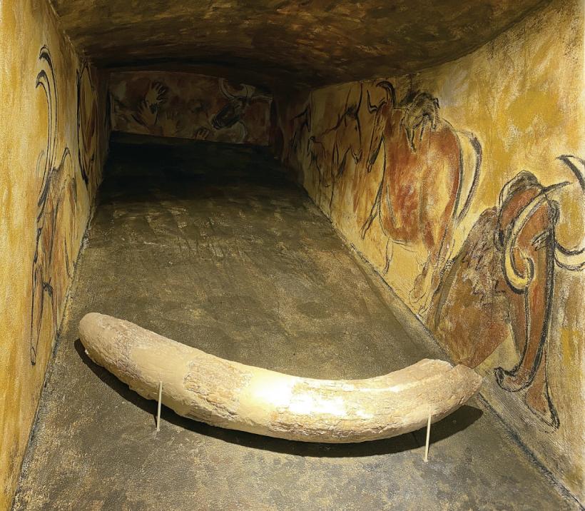 Secrete (dezvăluite) din Bucureștiul străvechi. ​​​​​​​Vorbe grele cu istoricul Adrian Majuru: „României îi lipsește o «hartă a viitorului»!” 18964934