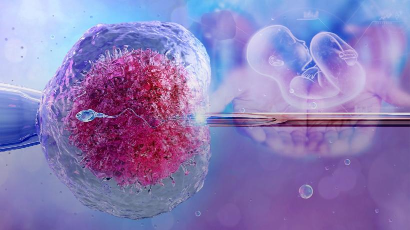 Proiectul FIV3: Sprijin financiar de până la 15.000 lei pentru cuplurile infertile din București