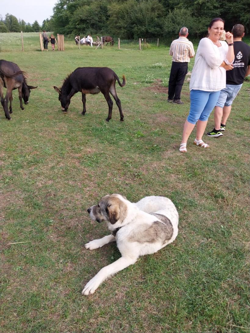 Localitatea Praid încă are izvoare cu apă sărată, chiar dacă salina s-a închis 18964967