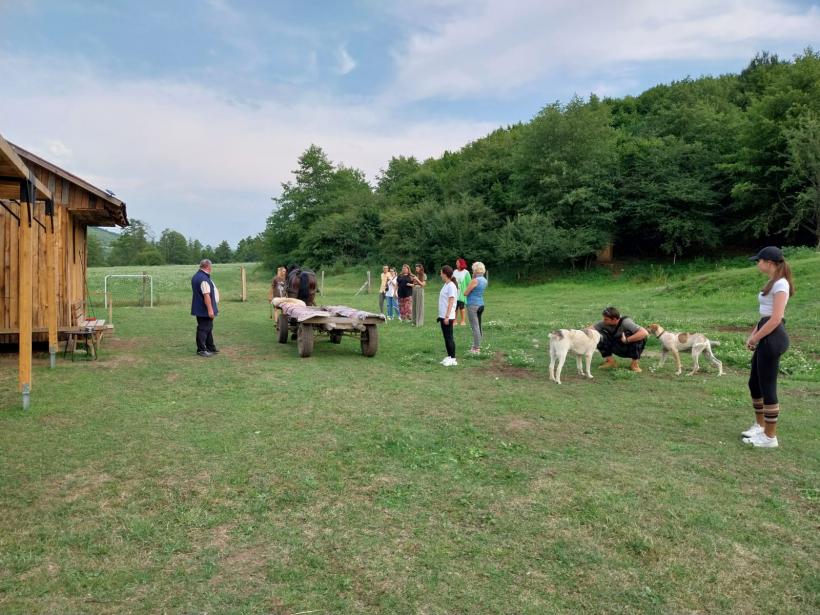 Localitatea Praid încă are izvoare cu apă sărată, chiar dacă salina s-a închis 18964975