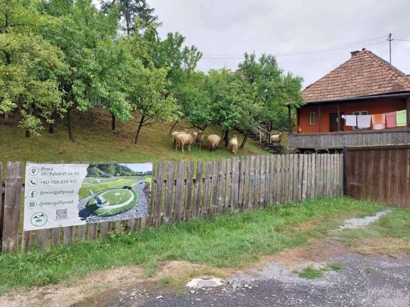 Localitatea Praid încă are izvoare cu apă sărată, chiar dacă salina s-a închis 18964985