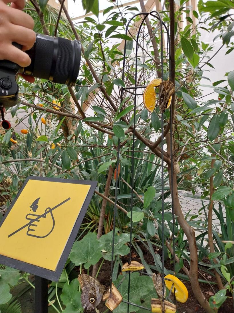 Localitatea Praid încă are izvoare cu apă sărată, chiar dacă salina s-a închis 18964988