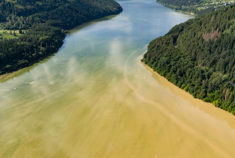 Stare de alertă la Izvorul Muntelui – Bicaz! Gunoaie și animale moarte plutesc pe lac