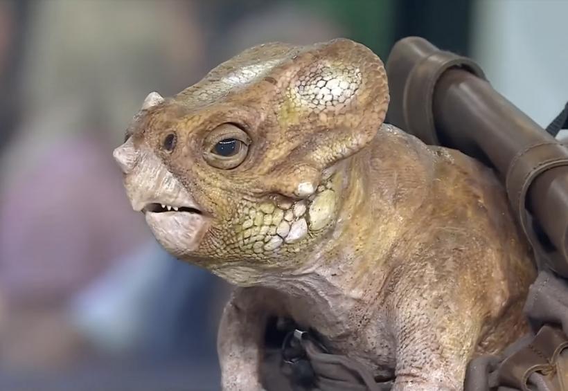 Box Office: „Jurassic World Rebirth” depășește 750 miloane de dolari, „F1” - record pentru Brad Pitt 18965687