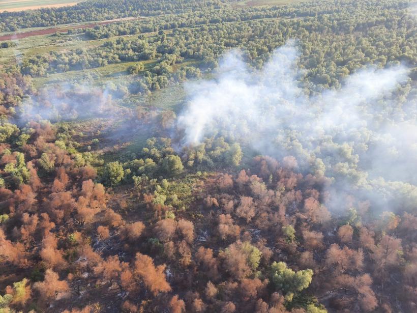 Incendiu pe 6 hectare la Chilia Veche - intervine elicopterul Black Hawk 18965879
