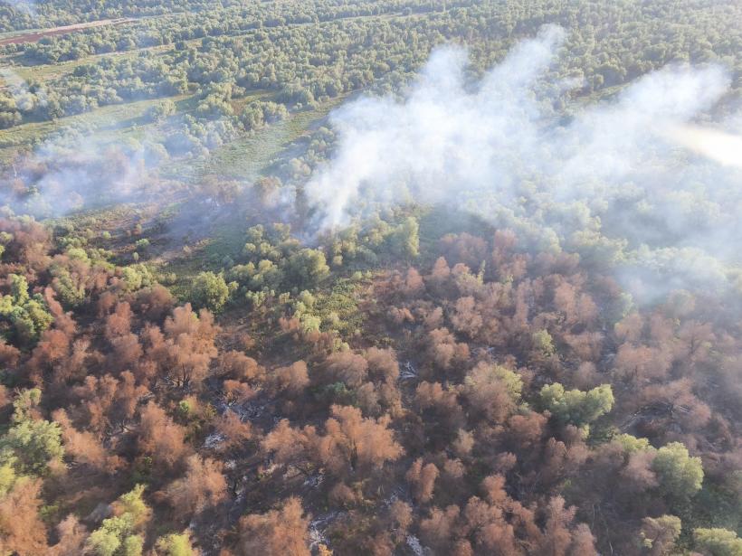 Incendiu pe 6 hectare la Chilia Veche - intervine elicopterul Black Hawk 18965888