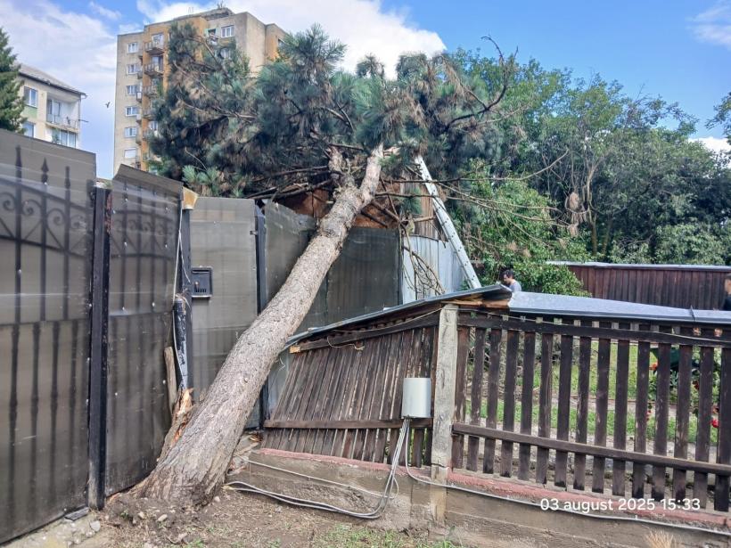 Furtuna a făcut prăpăd în Iași. Mai mulți arbori au fost rupți, cel puțin opt mașini au fost avariate