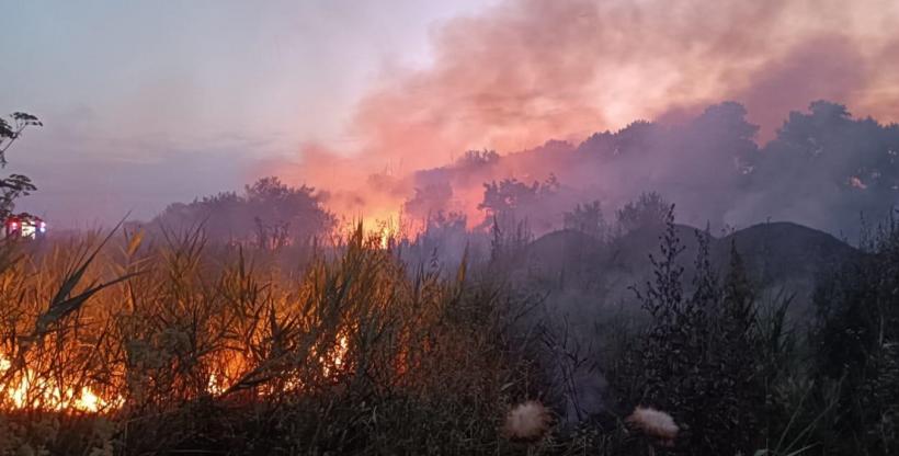 Pompierii continuă să lupte pentru stingerea unui incendiu de proporţii în apropiere de Atena