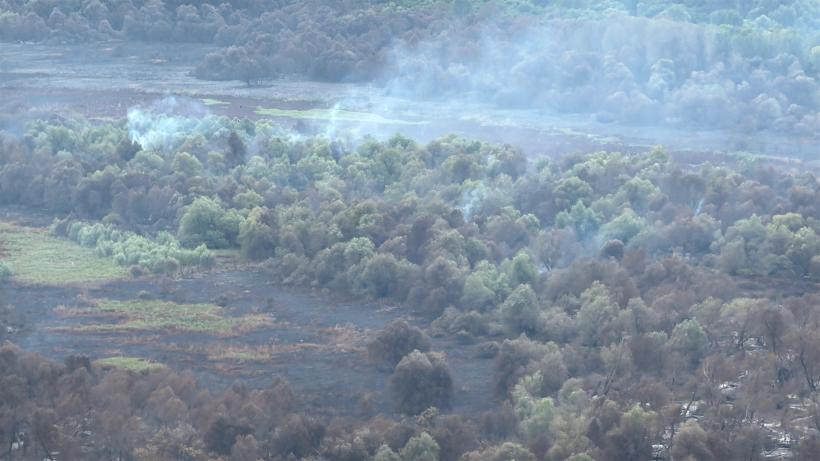 Pompierii militari continuă eforturile pentru stingerea incendiului din Delta Dunării, aflat în a opta zi 18966823