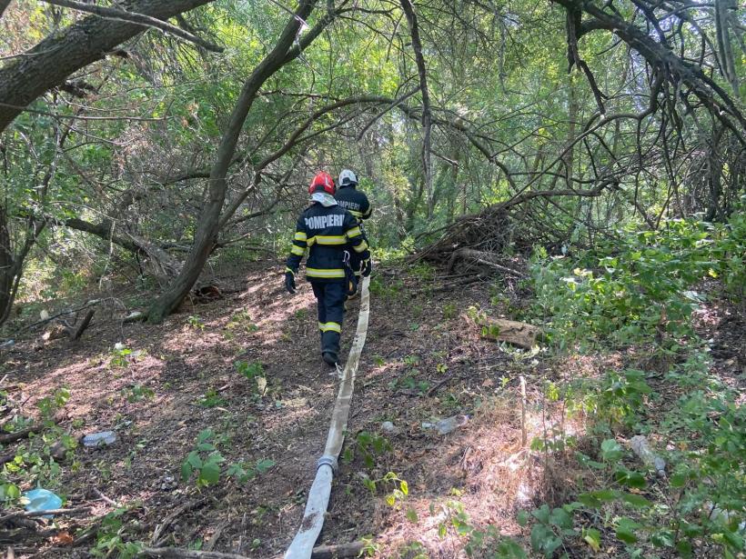 Pompierii militari continuă eforturile pentru stingerea incendiului din Delta Dunării, aflat în a opta zi 18966825