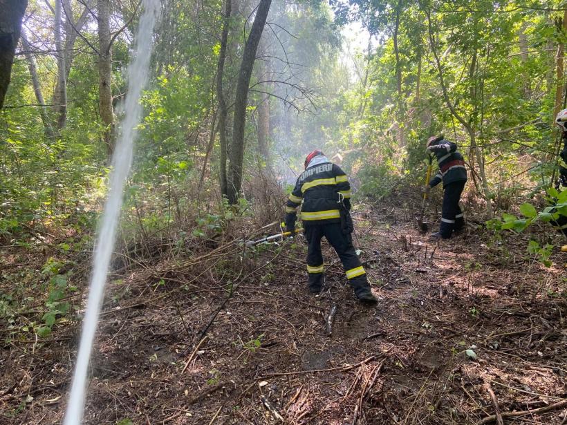 Pompierii militari continuă eforturile pentru stingerea incendiului din Delta Dunării, aflat în a opta zi 18966826