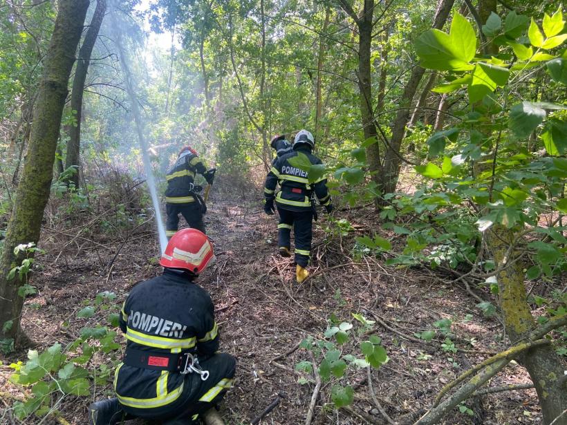 Pompierii militari continuă eforturile pentru stingerea incendiului din Delta Dunării, aflat în a opta zi 18966828