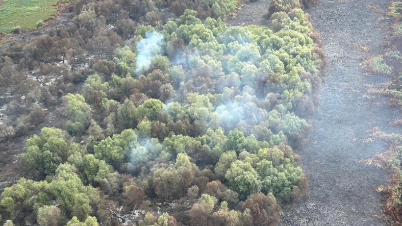 Pompierii militari continuă eforturile pentru stingerea incendiului din Delta Dunării, aflat în a opta zi 18966831