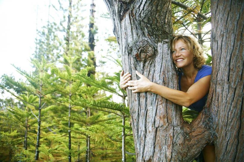 Natura, pe cale de dispariție din viața noastră: Contactul direct a scăzut cu peste 60% în ultimele două secole