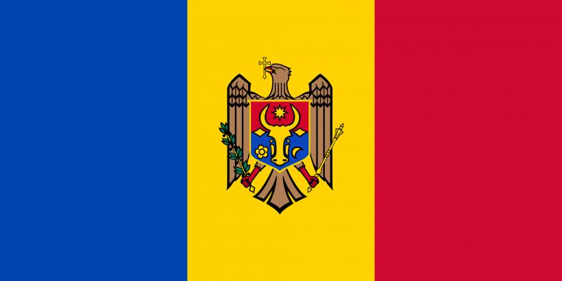 MAE de la Chișinău condamnă ingerințele Federației Ruse în alegerile din Republica Moldova