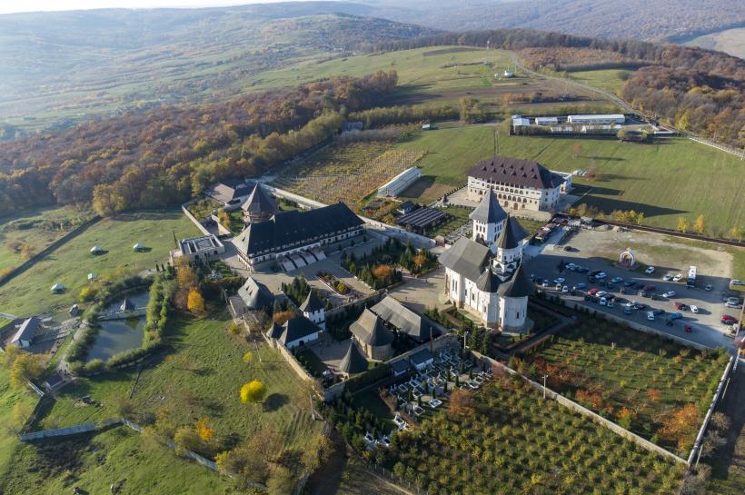 Cum s-a opintit în limba română expresia „a se lăsa pe tânjală” 18966849