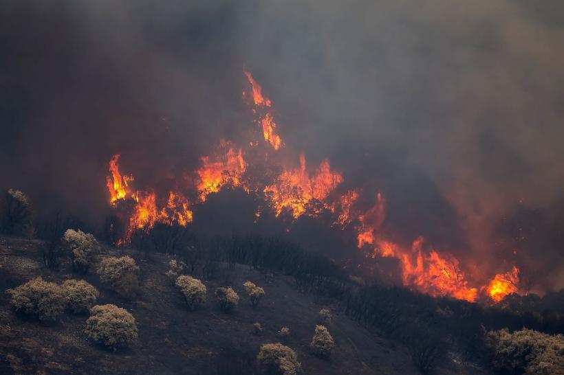 Val de caniculă și incendii devastatoare în sudul Europei: Grecia, Spania și Italia în stare de urgență