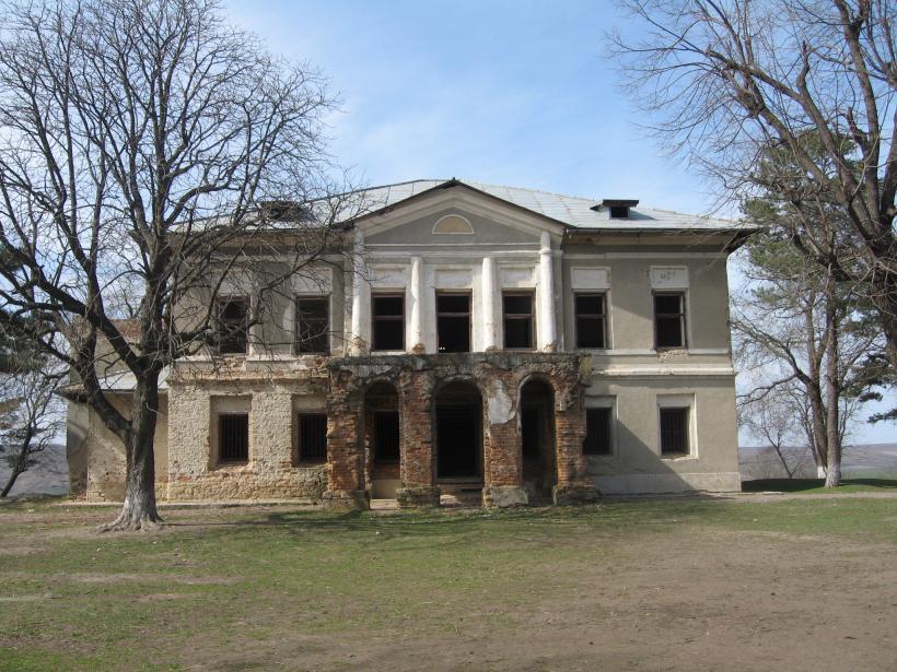 Elena Cuza, prima Prima Doamnă a României 18967016