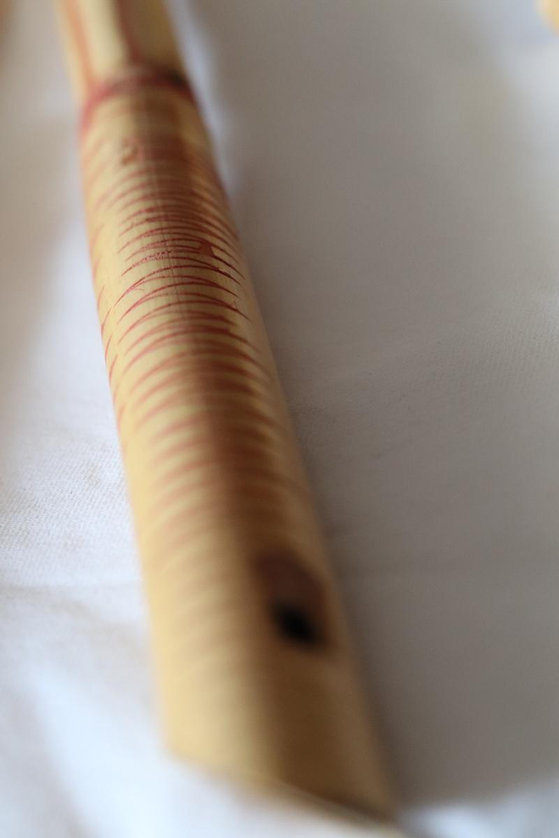 ISVOR anunta lansarea proiectului Muzeul Fluierelor Lumii 18967069