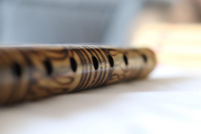 ISVOR anunta lansarea proiectului Muzeul Fluierelor Lumii 18967072