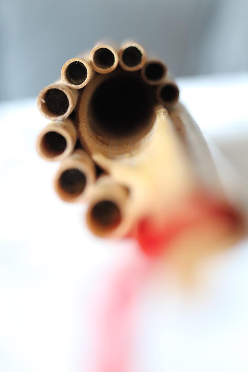 ISVOR anunta lansarea proiectului Muzeul Fluierelor Lumii 18967073