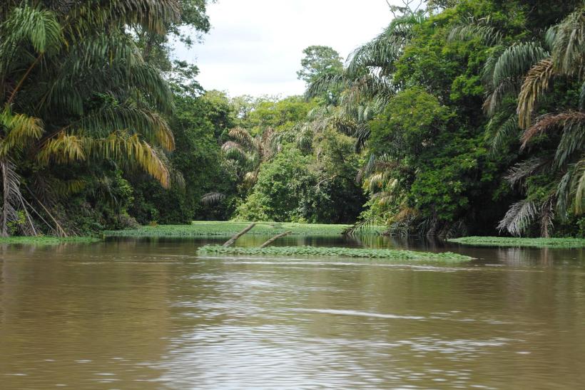 Paradisul de la Atlanticul costarican 18967404
