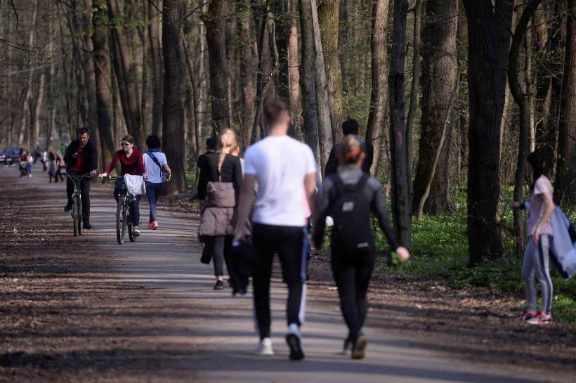 În timp ce spațiile verzi dispar rapid, Capitala se îneacă în gunoaie 18967880