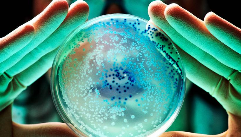 AI, cooptată în lupta cu superbacteriile: i-a venit de hac temutului Stafilococ auriu multirezistent