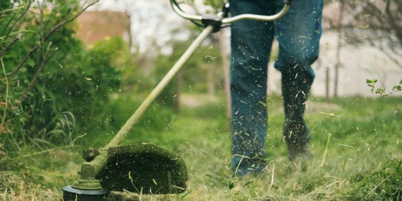 Afacerea spațiilor verzi continuă nestingherită și la vreme de criză. Primăria Bacău „sparge” 13,5 milioane pe cosit mecanizat