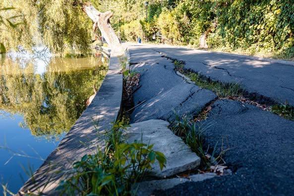 Bujduveanu anunță că au început lucrările de consolidare a aleilor crăpate din Parcul Herăstrău