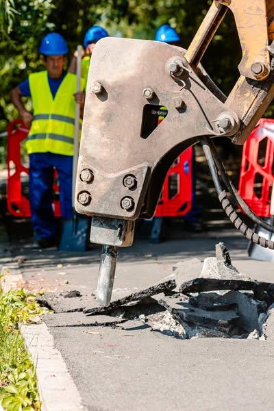 Bujduveanu anunță că au început lucrările de consolidare a aleilor crăpate din Parcul Herăstrău 18968376