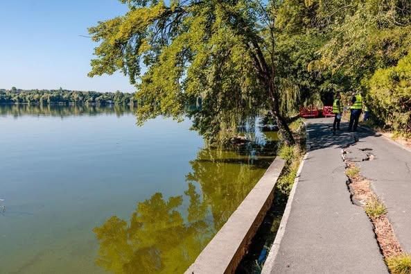 Bujduveanu anunță că au început lucrările de consolidare a aleilor crăpate din Parcul Herăstrău 18968377