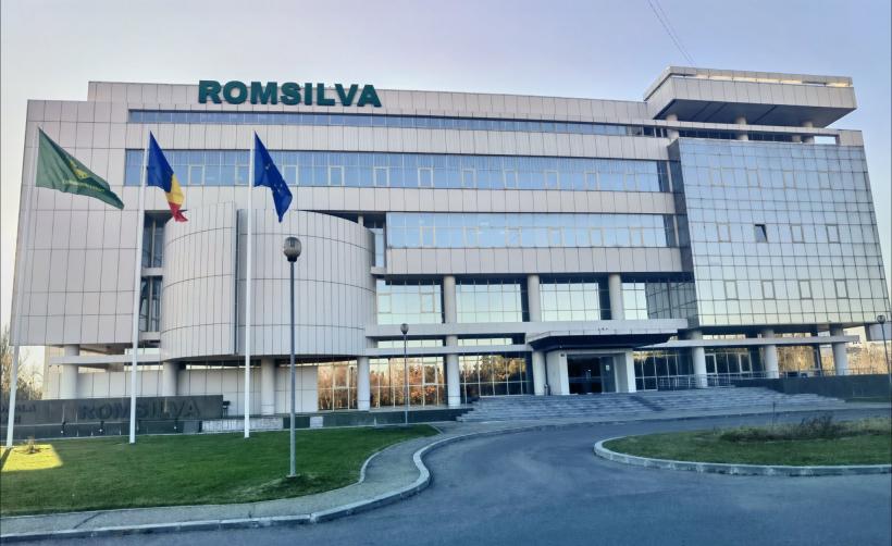 17 candidați au rămas în cursa pentru postul de director interimar al Romsilva