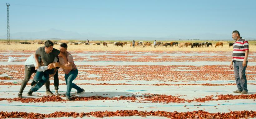 Câștigătorii celei de-a 22-a ediții a Festivalului Internațional de Film Independent ANONIMUL 2025 18968469