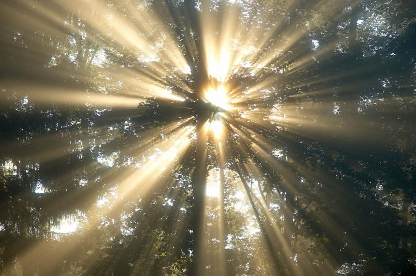 Povestea unei femei care a trecut prin moarte clinică: „Acum privesc înapoi și totul e atât de clar&quot;