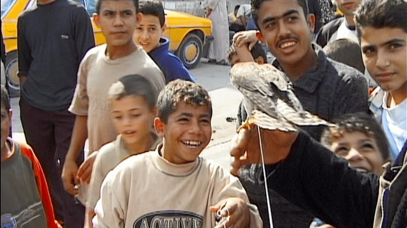 Festivalul Internațional de Film Experimental București (BIEFF) revine între 22 și 28 septembrie, sub tema Common Ground 18968540