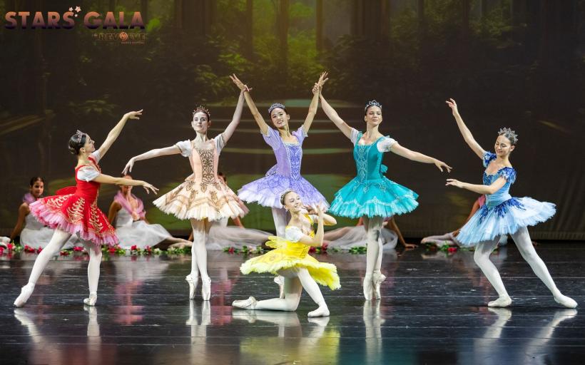 Stele ale baletului au cucerit publicul în „Stars Gala” 2025 la Opera Naţională din Bucureşti 18969214