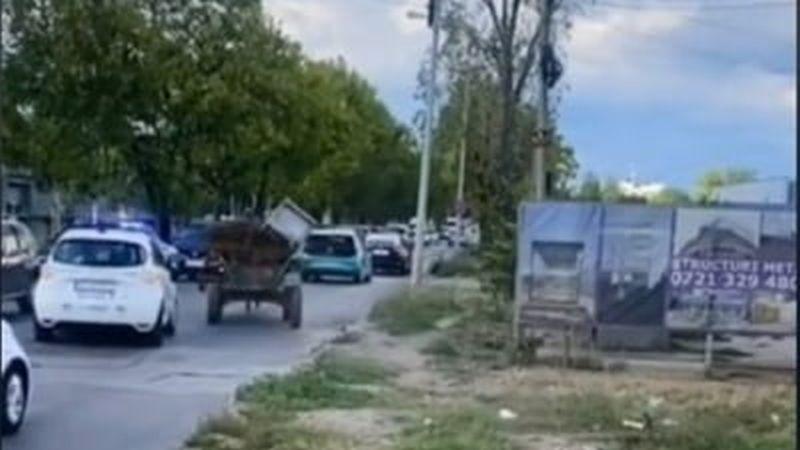 Decizie inedită într-o localitate din România. Căruțele trebuie să aibă toalete portabile