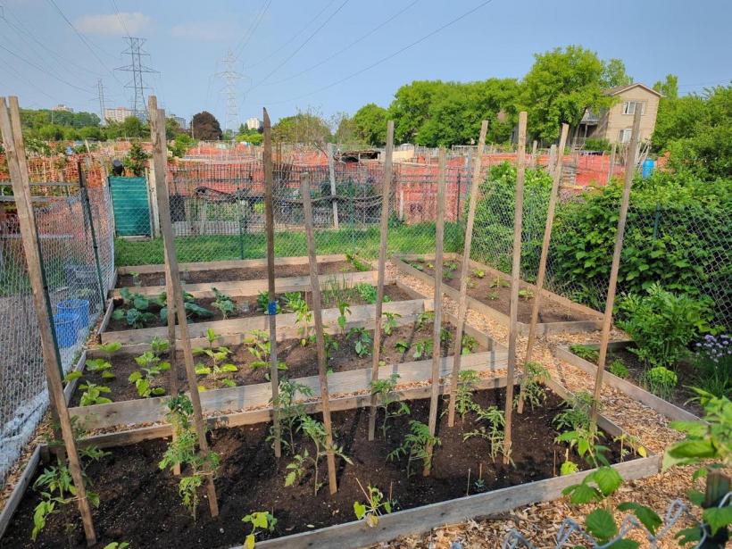 Idei simple pentru vremuri grele 18969316