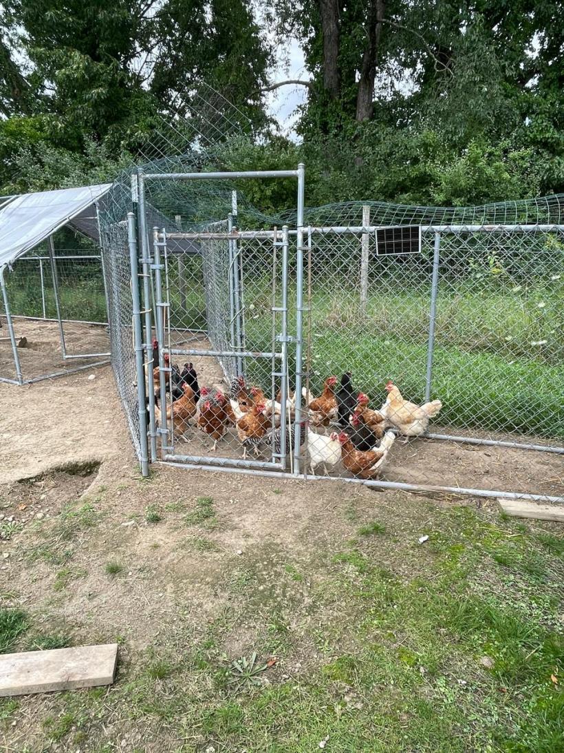 Idei simple pentru vremuri grele 18969318